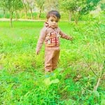 Faridullah Khan - @faridullah8681 - Instagram