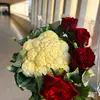 Fariha Kabir - @fariha.kabir910 - TikTok