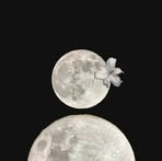 Fariha Kabir Moon - Facebook
