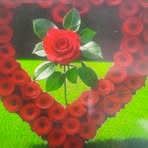 Fariya Usman - Facebook