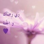@faris_sheikh - Instagram