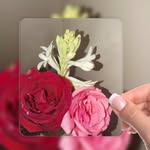 Farkhanda Malik - @farkhandamalik21 - Instagram