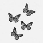 Farkhanda Malik - @farkhandamalik99 - Instagram