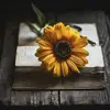 Farkhanda Malik - @farkhandmalik - TikTok