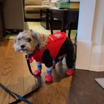 Farley Baker - @farles.barkley9 - Instagram