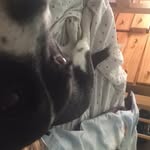 Farley Smith - @finallysmith01 - Instagram