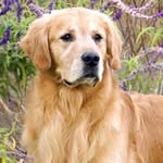 farley smith - @farley.smith - Instagram