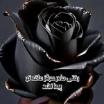 فرحناز اسدی - @farnaz_asadi70 - Instagram
