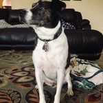 Faron Davis - @good_boy_faron - Instagram