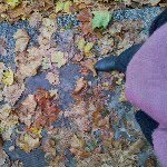 @faronking - Instagram