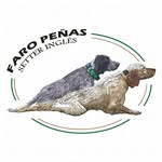 Setter del Faro Peñas - @faropenas_setter - Instagram