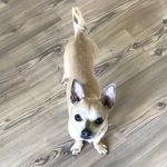 Young Faron - @young_faron - Instagram