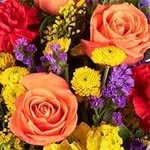 Farouk Elmasry - @farouk508090 - Instagram