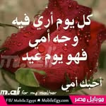 Farouk Hammadi - @faroukhammadi - Instagram