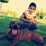 Farouk Saeed - @farouk.saeed.5817 - Instagram