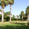 Salim Farouk - @salim.farouk2 - TikTok