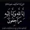 Farouk Soliman - @farouksoliman341 - TikTok