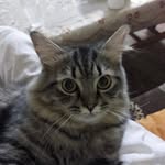 farouksoliman - @farouksoliman9 - Instagram