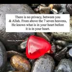 Farrah Lloyd Rawat - @farrah_rawat - Instagram