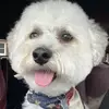 user3372757289851 - @farrahraye - TikTok