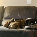 Farrah Turner Arndt - Facebook