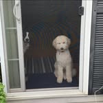 Farrah Turner Smith - @cz_mom_06 - Instagram