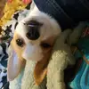 newtonfarrell - @new_farr_pix - TikTok