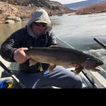 Tom Farrell - @thompsonfarrell - Instagram