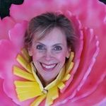 Carol White Farrell - @carolwhitefarrell - Instagram