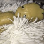 Groot Farrell-Wilson - @we_aregroot - Instagram