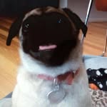 Farren Young - @farren.young.51 - Instagram
