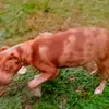 farriesmaxwell975 - @farriesmaxwell975 - TikTok