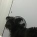 Taishan Farris-white - Facebook