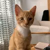 wilson - @wilsonfarris6 - TikTok