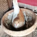 Farrukh Jamil - @farrukh.jamil89 - Instagram
