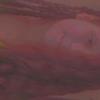 Farida is World - @faridaisworld - TikTok