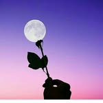 farshad askari - @bi_parva23 - Instagram