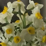 Farshad - @farshad.mansouri7744 - Instagram
