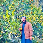 Farid Safi - Facebook