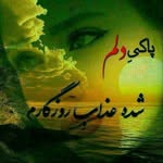 Farshid Safi - @farshid.safi20152019 - Instagram
