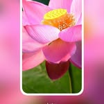 faruque UDDIN - @faruqueu385 - Instagram