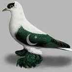 Faryad ali - Facebook