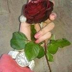 Faryal Raza - @r.faryal - Instagram