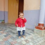 Shah Farzand - @farzan.mohammed.370 - Instagram