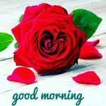 Farzan Sheikh - @farzansheikh_786 - Instagram