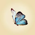 fatemeh ehsani - @_fatemeh1122_ - Instagram