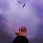 fatemeh_ehsani - @fatemeh.ehsani77 - Instagram