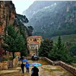 Faten Awada - Facebook