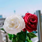 Faten awada - @fatenawada2020 - Instagram