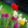faten.awadalla - @faten.awadalla - TikTok